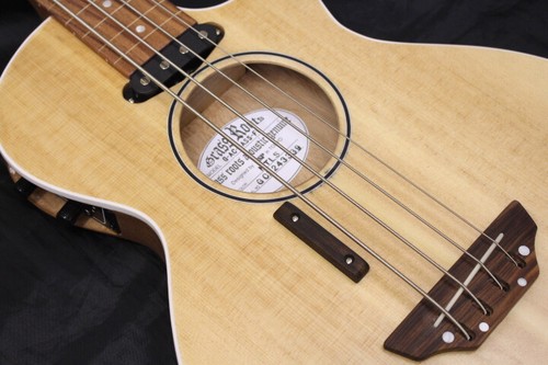 グラスルーツ フレットレスエレアコベ | www.christchurchcbe.org