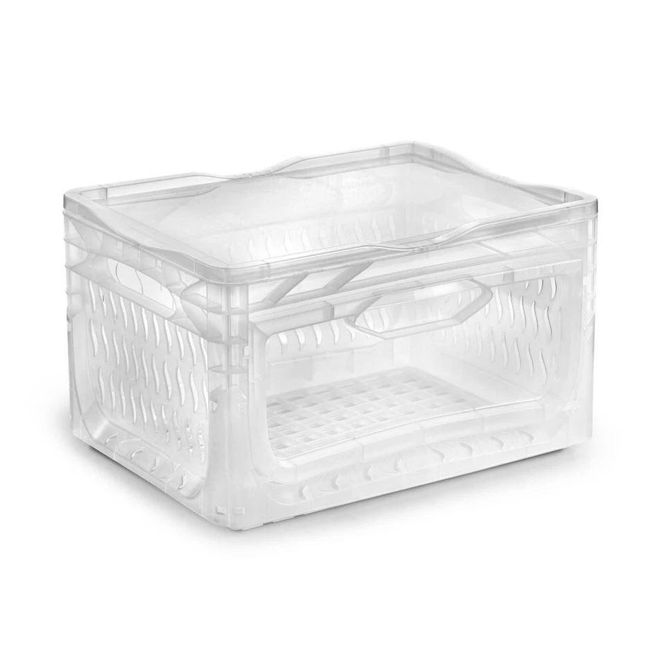 Set Eurobox auf Rollen Transportbox Lagerbox Rollwagen Transportwagen Lagerkist - Bild 3 von 4