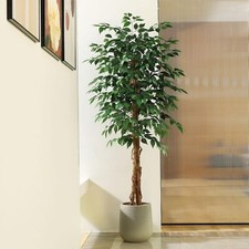 Árbol de ficus artificial Colourtree, árbol de ficus falso de seda en maceta de plástico para vivero