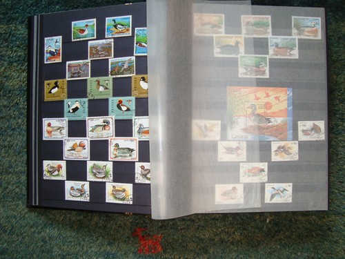 Colección de estampillas de Worldwide Álbum Birds de 1961 - Imagen 7 de 11