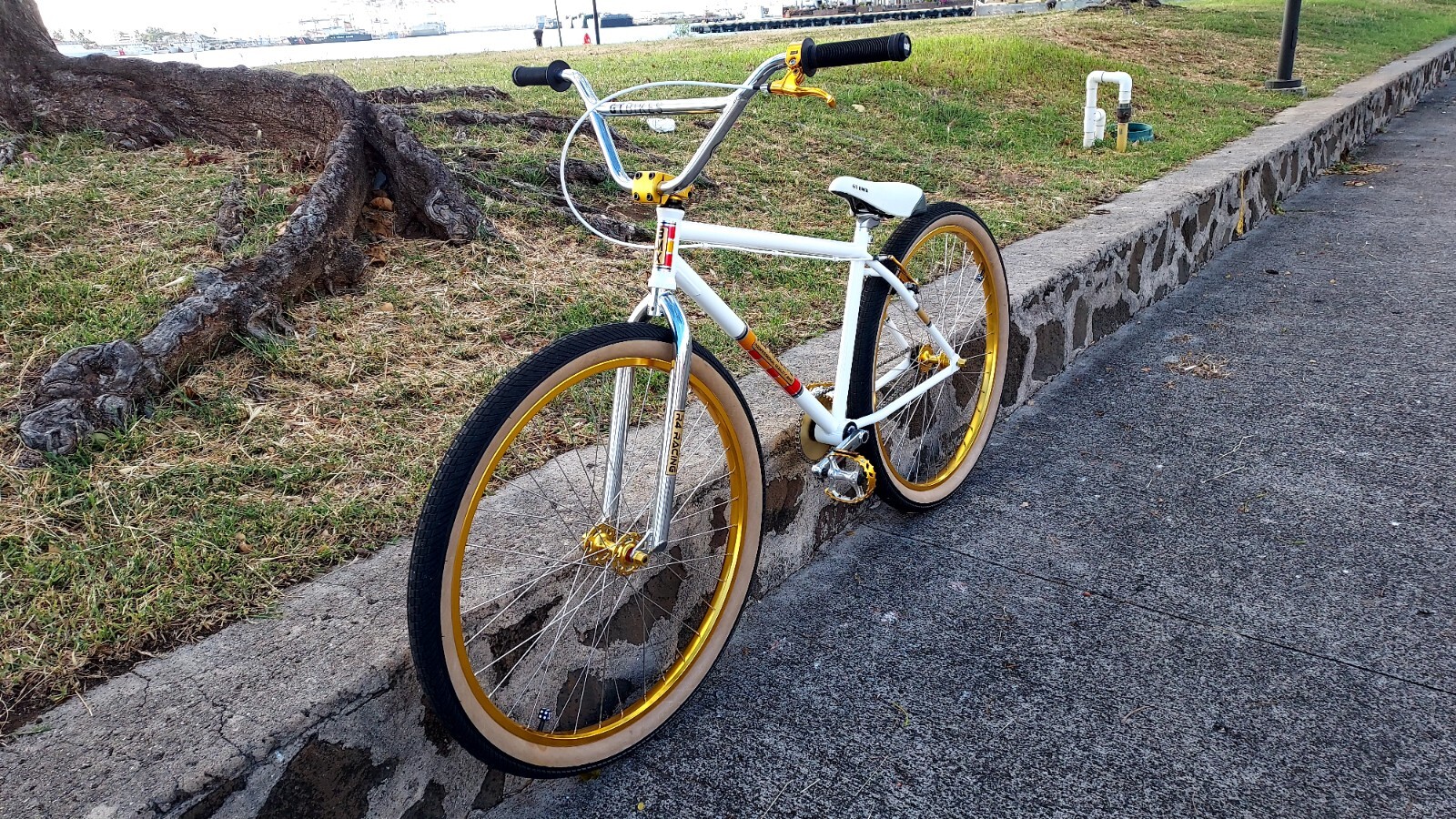 R4 Products 29 Inch BMX Cruiser | eBay