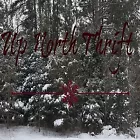Up North Thrift