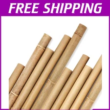 Versatile 8 Foot Bamboo Plant Poles - Sturdy Support for Home & Garden Decor