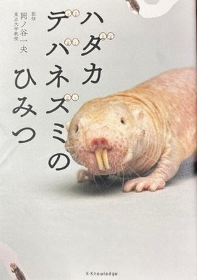 Naked Mole Rat Secrets Japanese Book Animal Ecology Science Research Guide