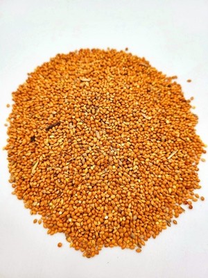 Futterbauer 25 kg Hirse Vogelfutter Ganzjahresvogelfutter