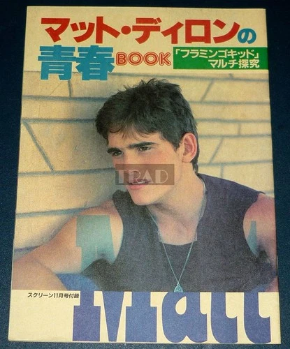MATT DILLON The Flamingo Kid 1980s JPN Picture Booklet Magazine BOOK