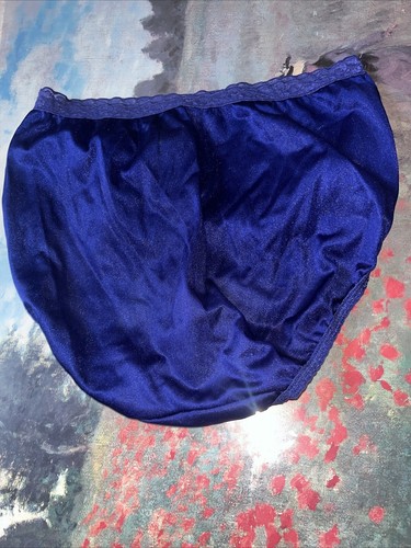 vintage hanes nylon panties Large 7 - Picture 10 of 12