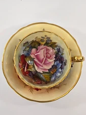 Aynsley Tea Cup & Saucer England Bone China Cabbage Rose Gold Footed JA Bailey