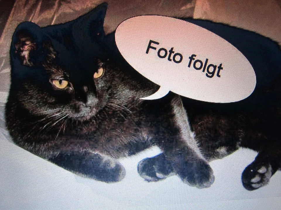 6 Tischsets Bambusgeflecht Geflecht geflochten grau braun natur Kunststoff