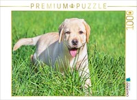 Calvendo Puzzle Auf Entdeckungsreise | 1000 Teile Lege-GrößE 64X48Cm Foto-Puzzle