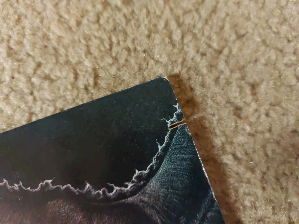 Blind Illusion: The Sane Asylum 1988 Combat Records Vinyl LP OIS VG+/VG+ Primus - Image 4 of 4