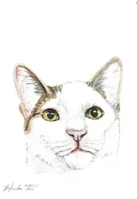 ACEO Original Watercolor Painting 2.5"x3.5"  Kitty Cat Pet Portrait