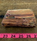 Arizona Rainbow Petrified Wood, 1.32 Lbs, Jasperized Polished Limbcast! Display! — photo 7