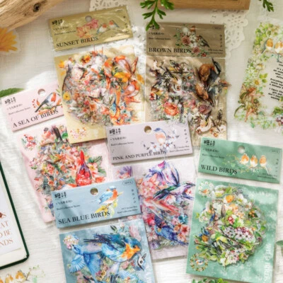 Birds PET Stickers Scrapbooking Art Collage Bullet Journal Card Album DIY Crafts - Image 1 of 4