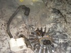 McCulloch Maccat  cs38 smooth pull coil and flywheel  chainsaw part  b# 35