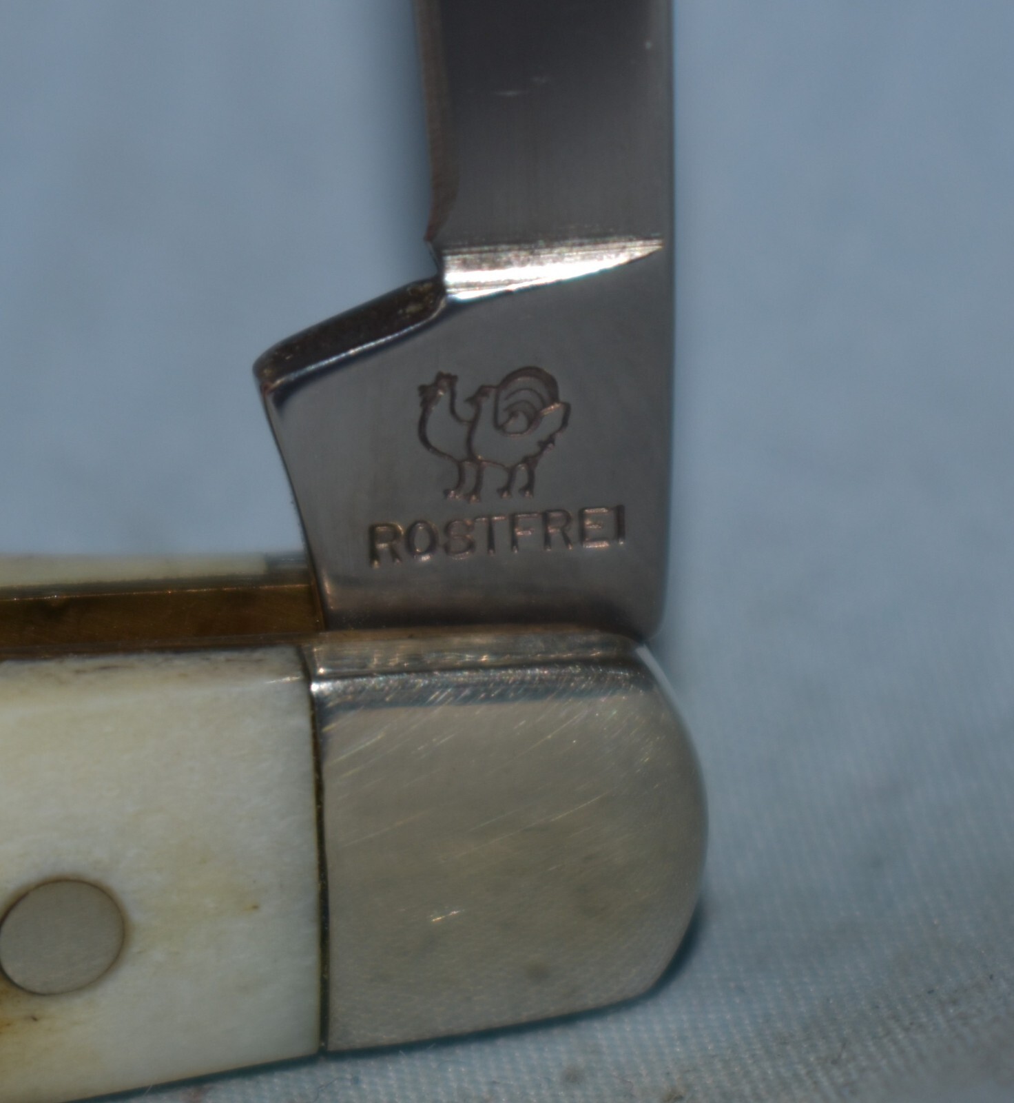 RARE VINTAGE HEN & ROOSTER BONE CONGRESS KNIFE "MINT IN IN ORIGINAL CASE /BOX