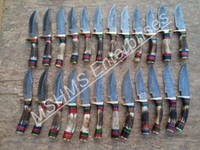 LOT OF 50 6 INCH HANDMADE DAMASCUS STEEL SKINNER KNIFE STAGANTLER W/SHEATH Am