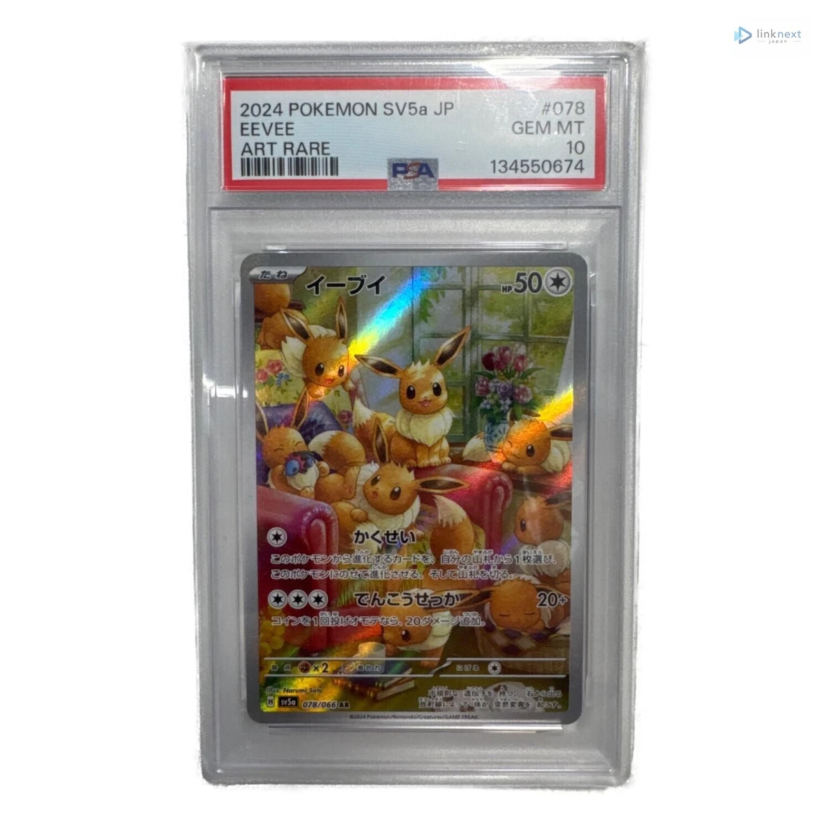 Eevee Pokémon TCG Professional Sports Authenticator (PSA