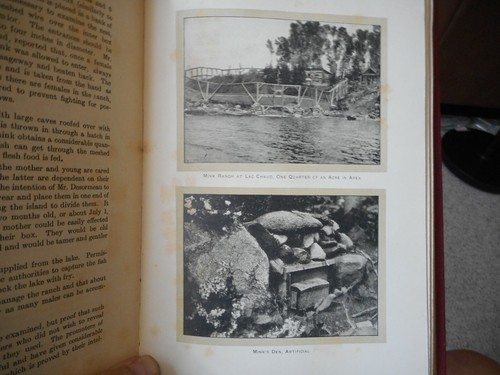 Fur Farming in Canada J. Walter Jones vintage illustrated first edition 1913 - Bild 6 von 7