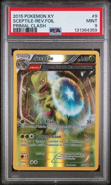 Pokemon PSA 9 2015 POKEMON XY PRIMAL CLASH #9 SCEPTILE-REV.FOIL