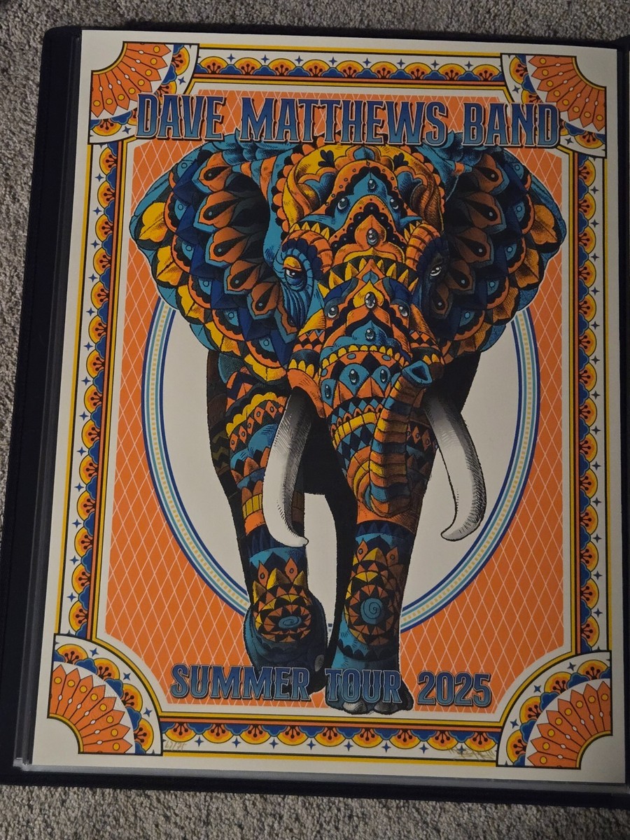 2025 Dave Matthews Band Orange Variant Summer Tour Poster Bioworkz