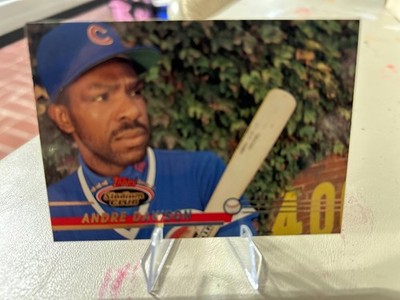 Andre Dawson 1993 Stadium Club #203 HOF Cubs! 2 Card Min! See Desc!