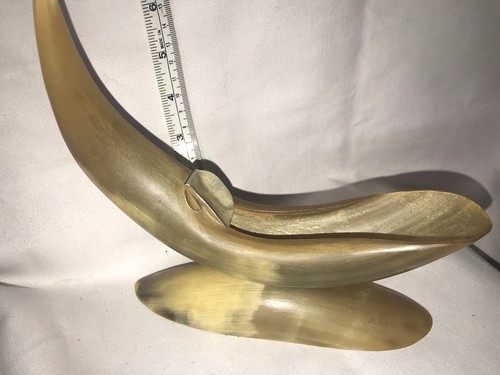 Vintage Steer Horn Ashtray/Tobacco Pipe Holder / Collectible and Unique