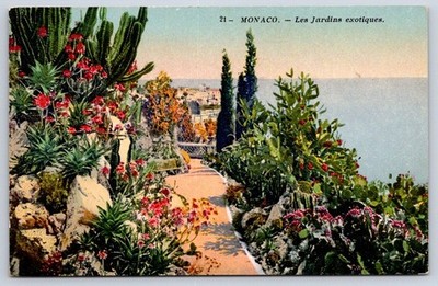 Antique MONACO Postcard MONACO Exotic Gardens les Jardins Exotiques