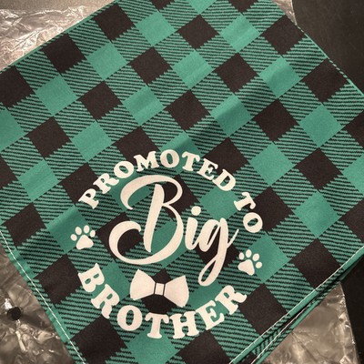 Big Brother dog bandanna scarf plaid turquoise cute new baby new puppy pregnancy