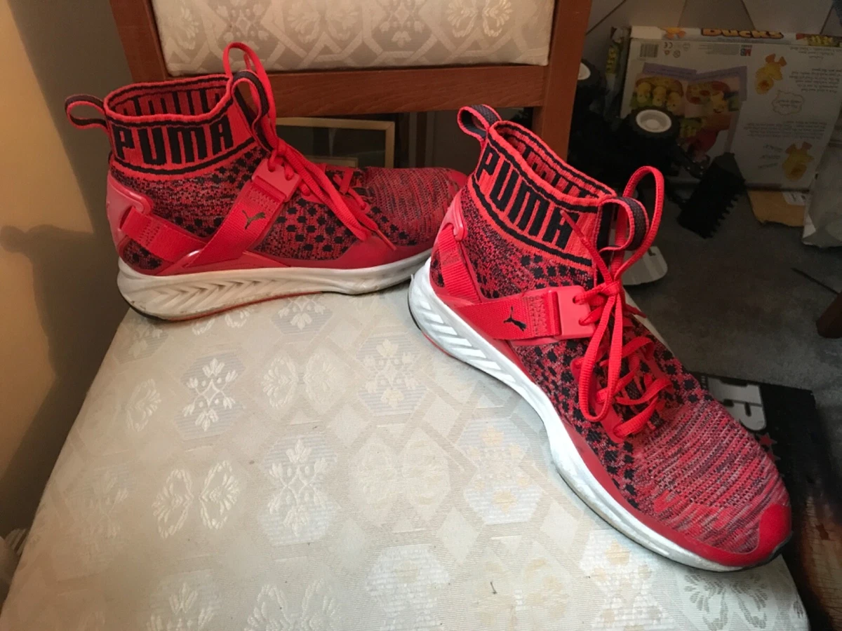 Puma ignite cheap evoknit ebay