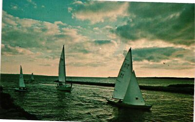 Vintage Postcard- Sailboats on the water, Cape Cod, MA 1960s