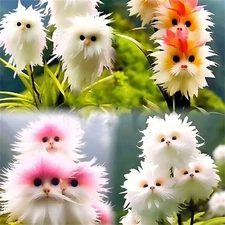 50Pcs Big Flower Faced Cat Orchid Seeds Potted Garden Plants Rare Flower Seed Ζ