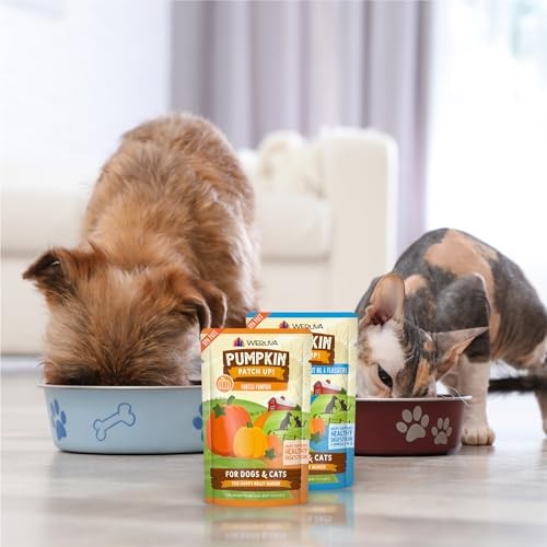 Weruva Pumpkin Patch Up!, Pumpkin Puree Pet Food Supplement for Dogs & Cats,