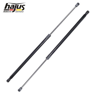 2x Hajus Heckklappendämpfer Gasfeder 652mm 645N für BMW X3 F25 51247211289
