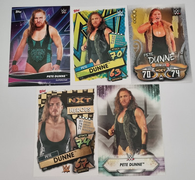 AEW NXT WWE Wrestling Performer Superstar 5 Card Lot - Pete Dunne