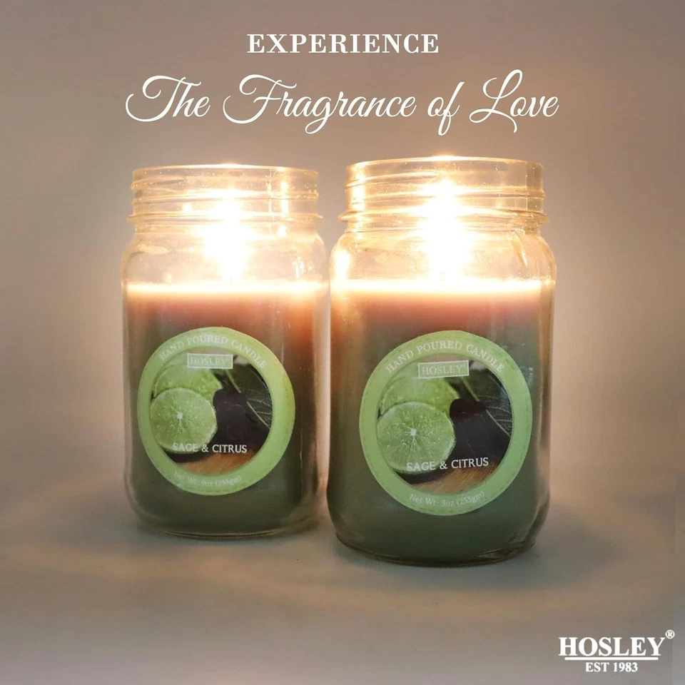 Классическая прозрачная банка для ароматов шалфея и цитрусовых Hosley® 9 унций большая банка для свечей  - Изображение 3 из 4