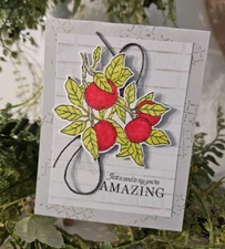 STAMPIN UP CARD KIT - APPLES JUST A CARD TO SAY YOU'RE AMAZING MAKES 4 24.89