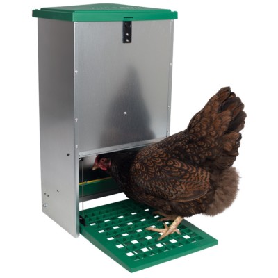 Mangiatoia automatica per polli, senza rifiuti, in metallo, grande capacità, 11,3 kg, per polli, oche, anatre, tacchini, quaglie (4 porte