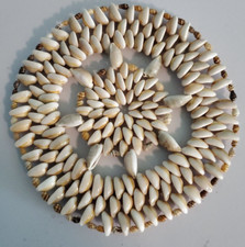 Vintage Cowrie 8