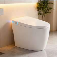 Smart Bidet Toilet Auto Flush Heated Seat Warm Water Dry Adjustable Temp Remote
