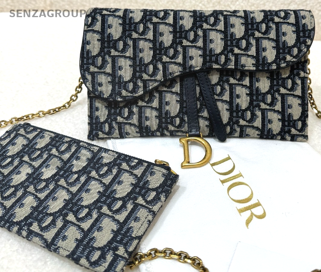 Christian Dior Saddle woc Chain Strap Crossbody bag
