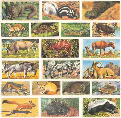 Brooke Bond Tea African Wildlife Cards x32 - Complete Set, Very Good Condition