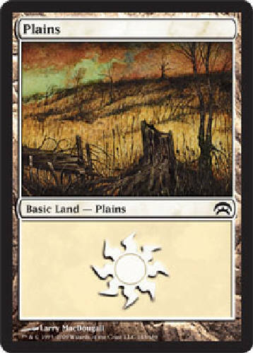 PLAINS #143 X4 4 4X Planechase MTG Magic the Gathering Cards