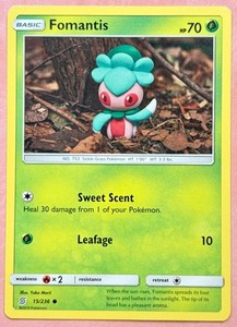 Pokemon Cards Clay