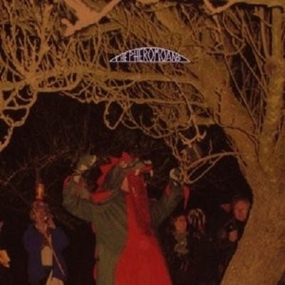 THE PHEROMOANS ''DOES THIS GUY STACK UP?''  CD NEU 