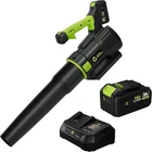 Cordless Leaf Blower 20V with 2 Batteries Charger 550CFM 160MPH Lawn Yard Clean