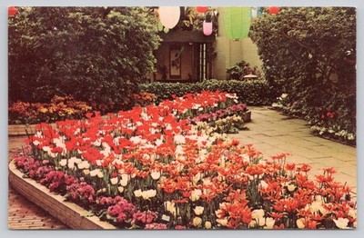 Spring Flower Show Modern Garden Phipps Conservatory Pittsburgh Postcard