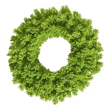 Vickerman 24" Plastic Fir Artificial Christmas Wreath in Flocked Lime Green