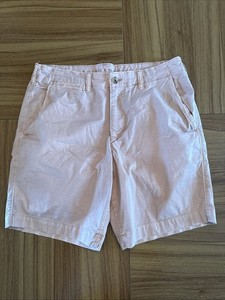 mens american eagle shorts flex 34 Pink
