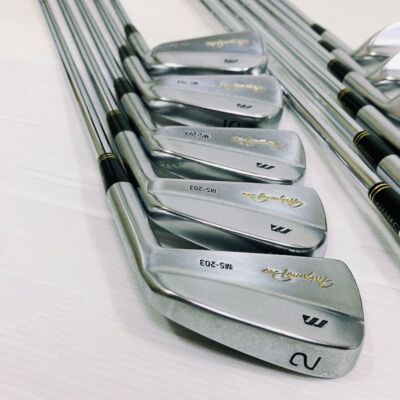 Golf Iron Set Mizuno Pro MS-203 Dynamic Gold R400 11pcs 2-S JAPAN